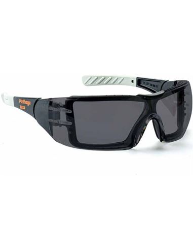 FERRGAFAS008_1