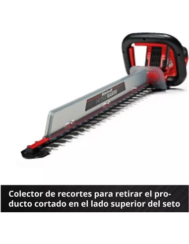 FERRCORTA003_6