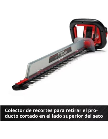 FERRCORTA003_6