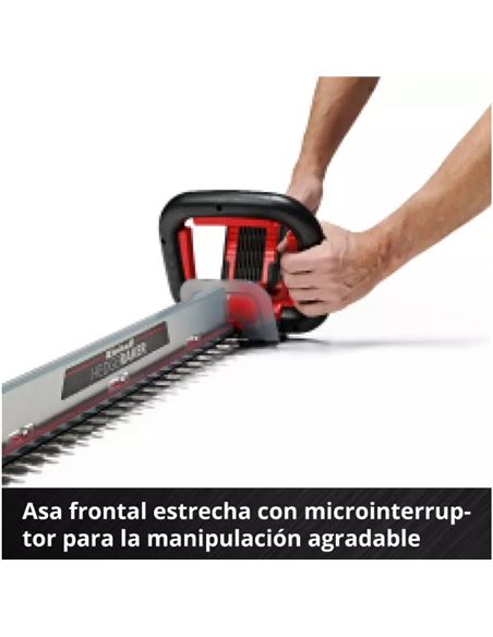 FERRCORTA003_7