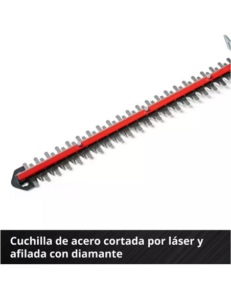 FERRCORTA003_8
