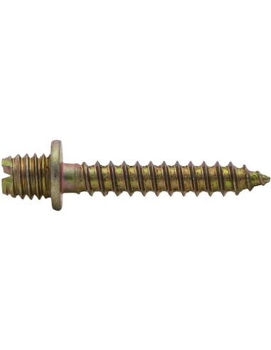 AHIETORVARI6