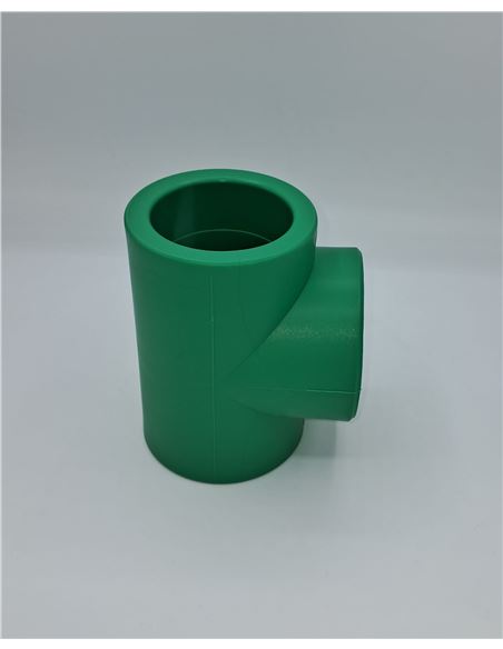 PPRPTE000075_1