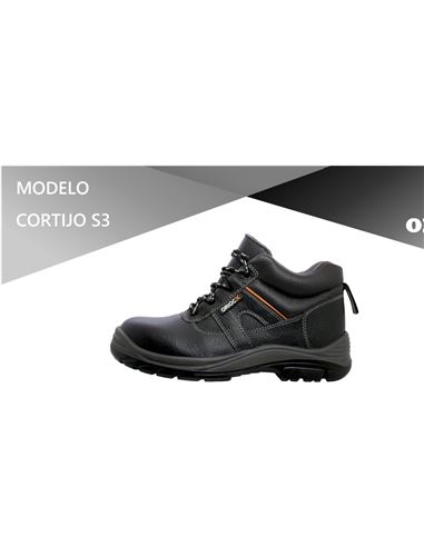 FERRBOTA0019
