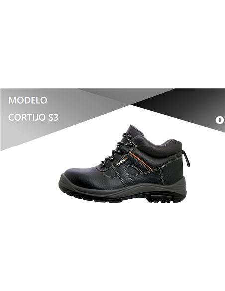 FERRBOTA0019