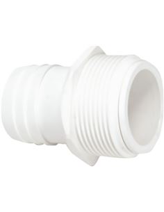 PISCRACOR038