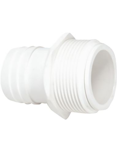PISCRACOR038