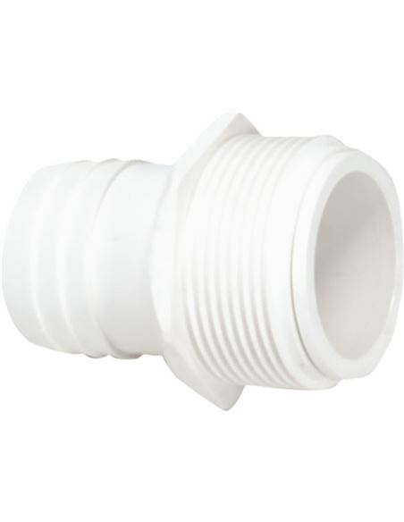 PISCRACOR038